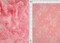 1 Yard Pink Mesh Sequins Embroidery Fabric, Polyester Spandex Blend